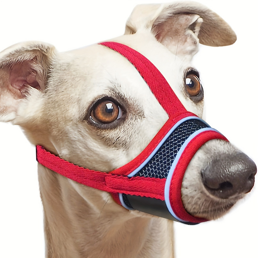 Terramyc reflective dog muzzle worn by a dog