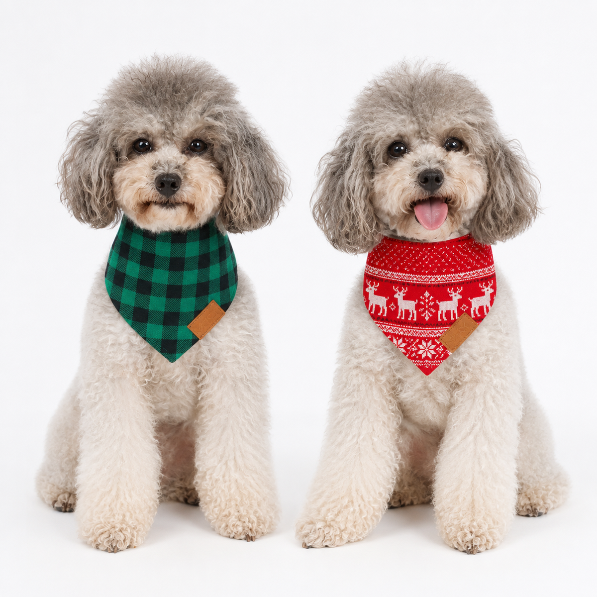 oxytoc dog bandana bib scarves worn by two small dogs