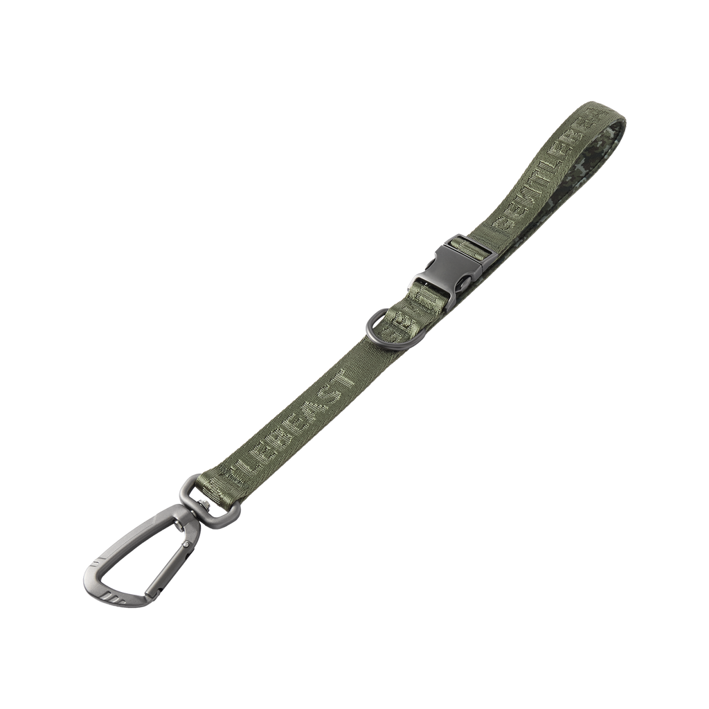 Dog Short Leash Green