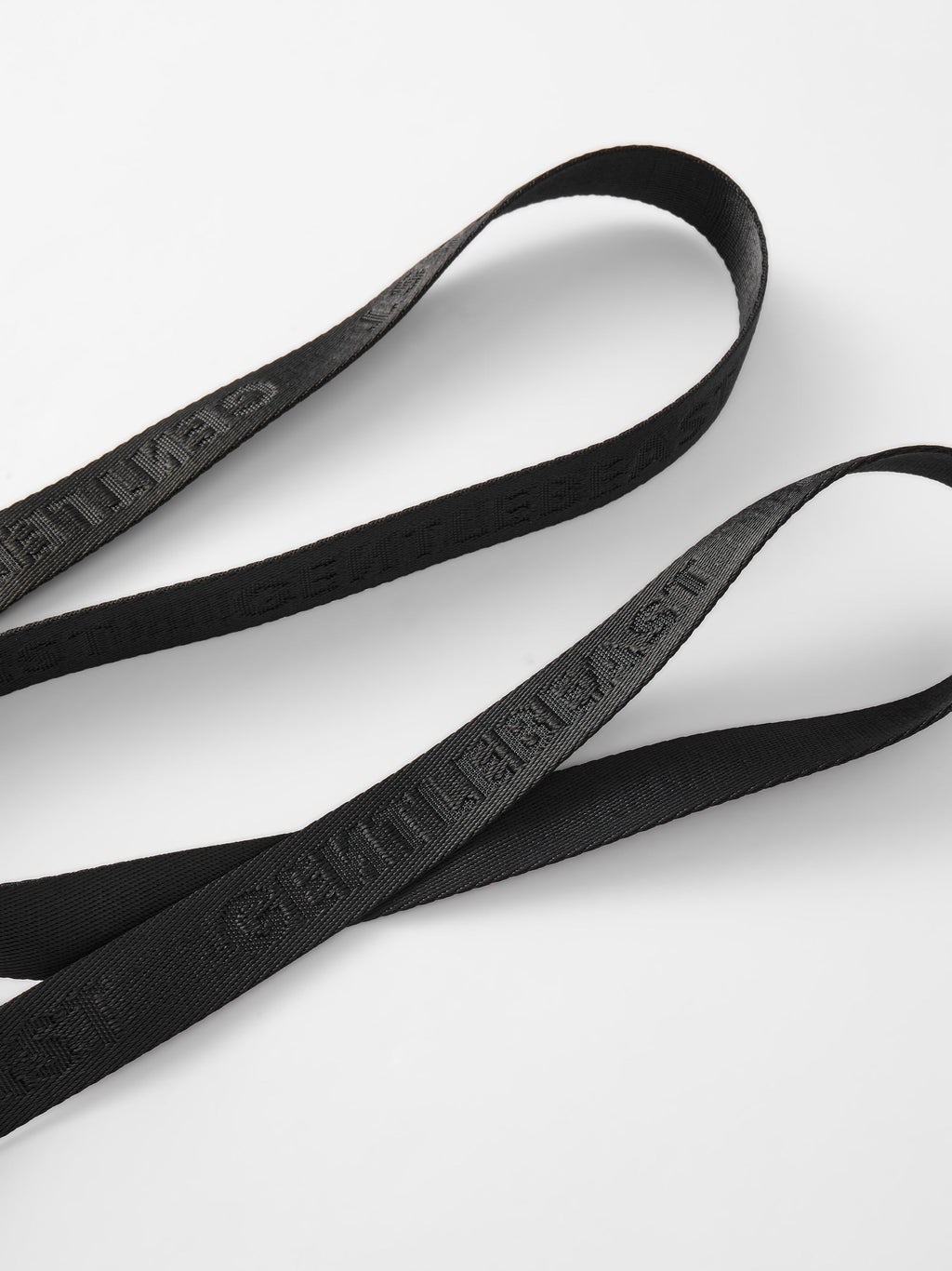Hands-Free Dog Leash