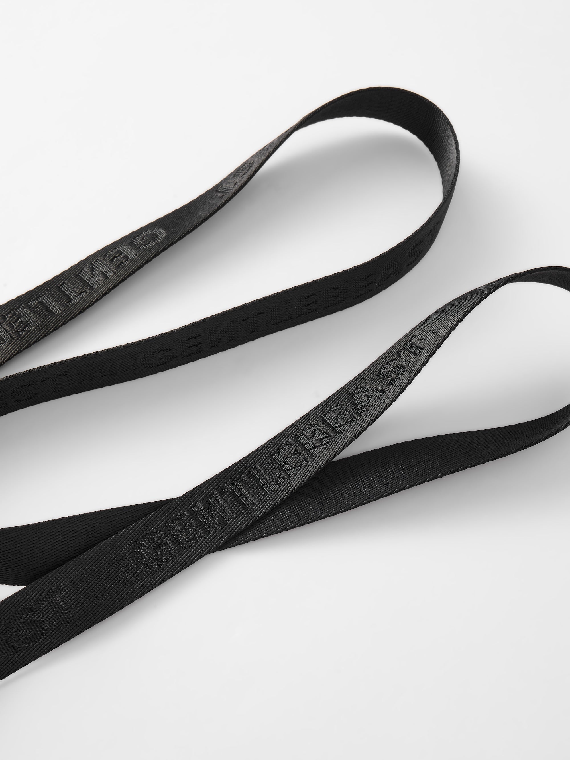 Hands-Free Dog Leash