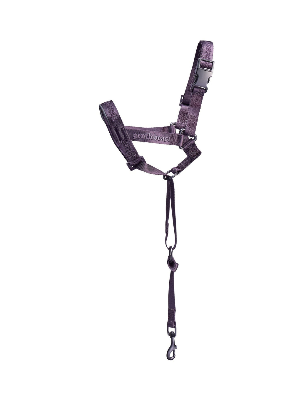 Dog Headcollar Purple