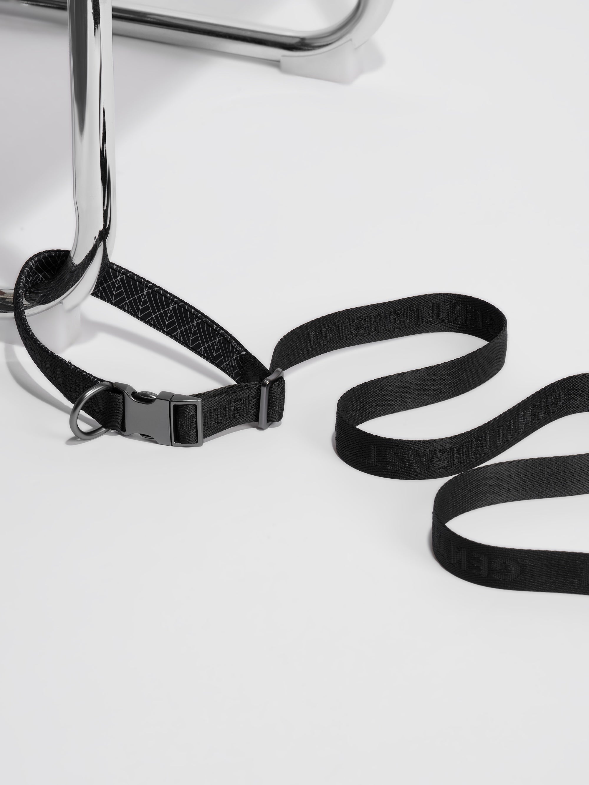 Hands-Free Dog Leash