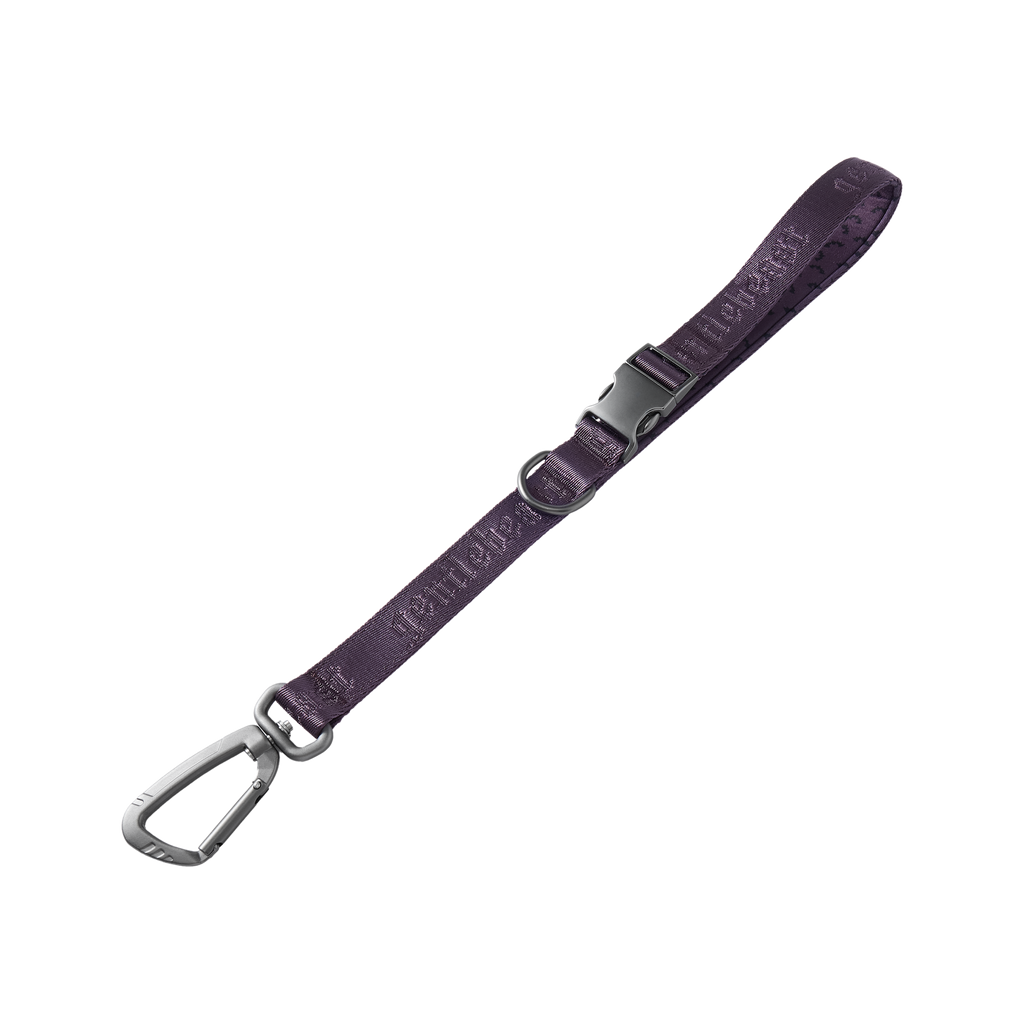 Dog Short Leash Purple