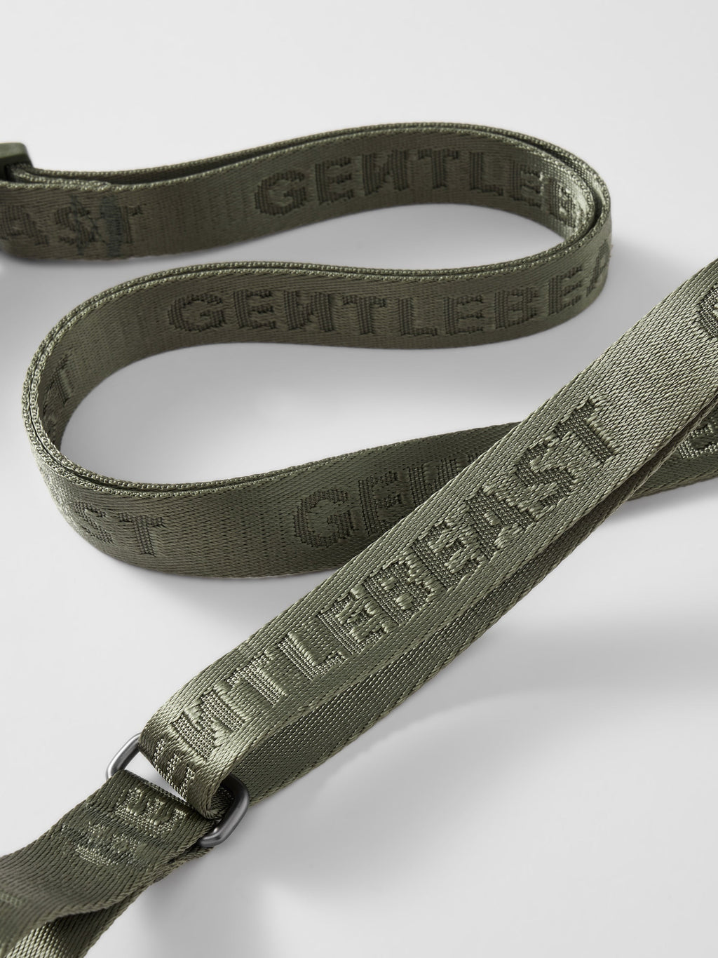 Dog Leash Green