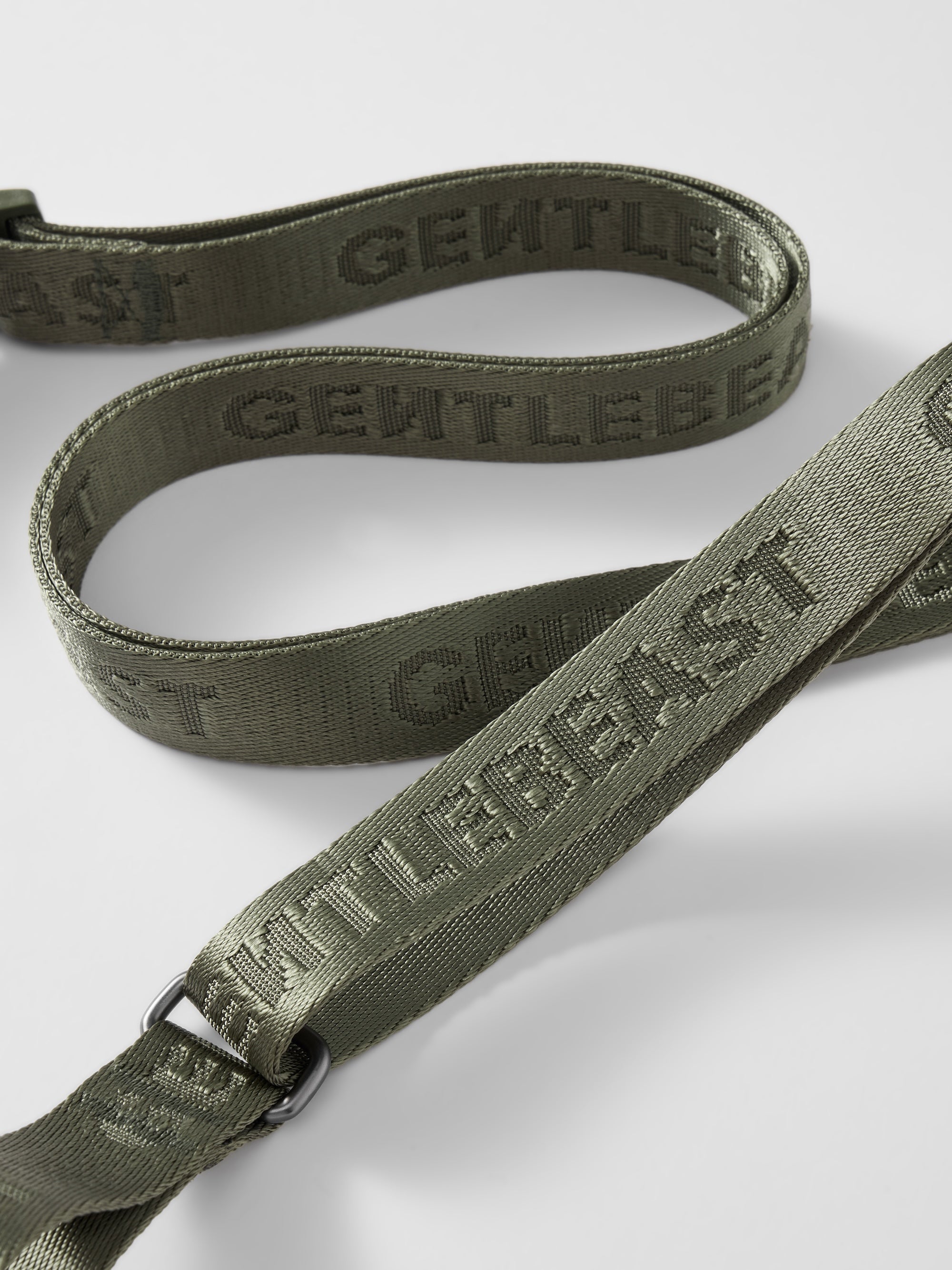 Dog Leash Green