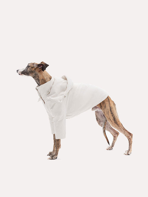 Detachable Hood Winter Dog Warm Jacket