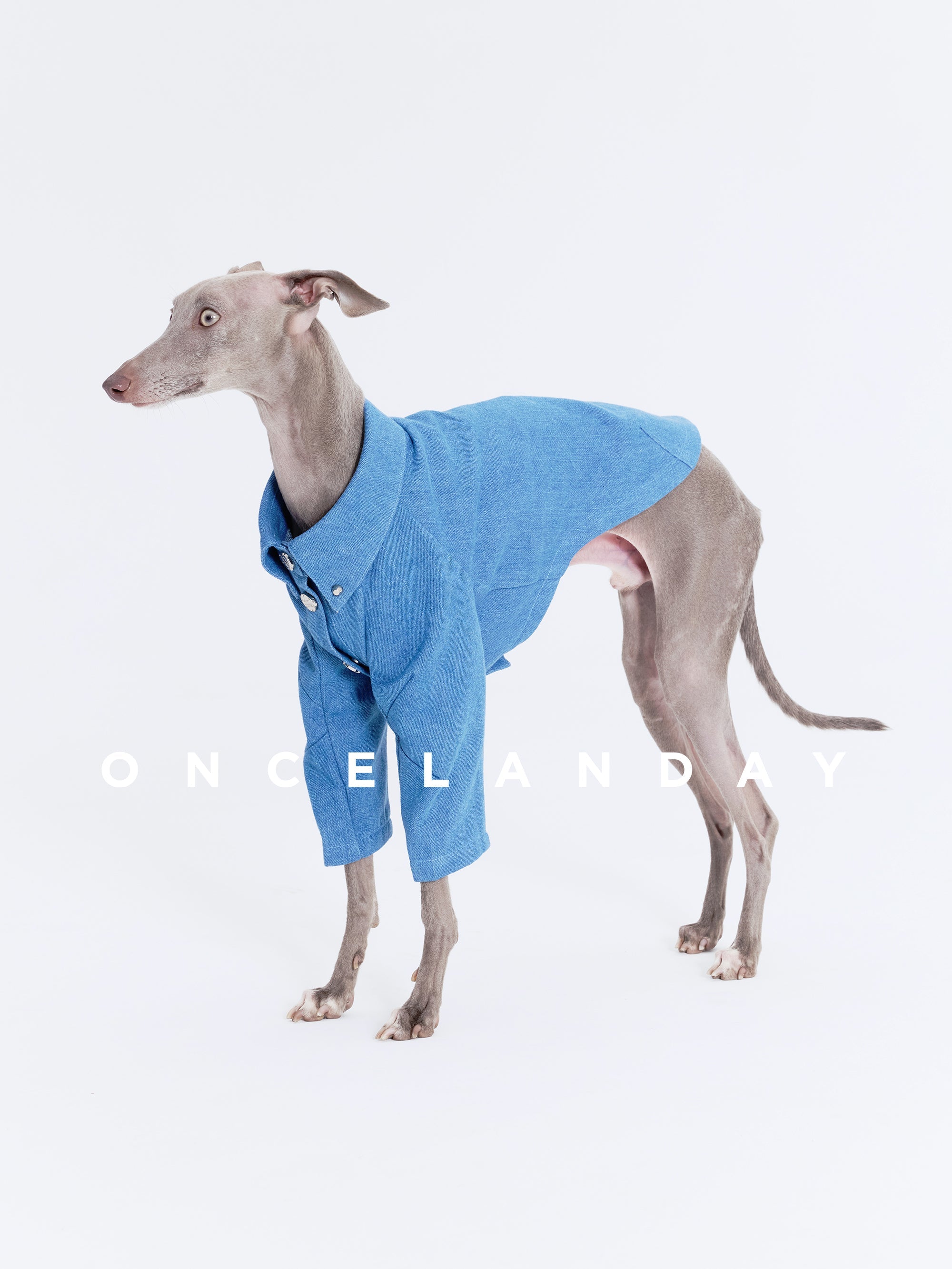 Dog Denim Shirt