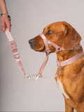 Dog Short Leash Pink
