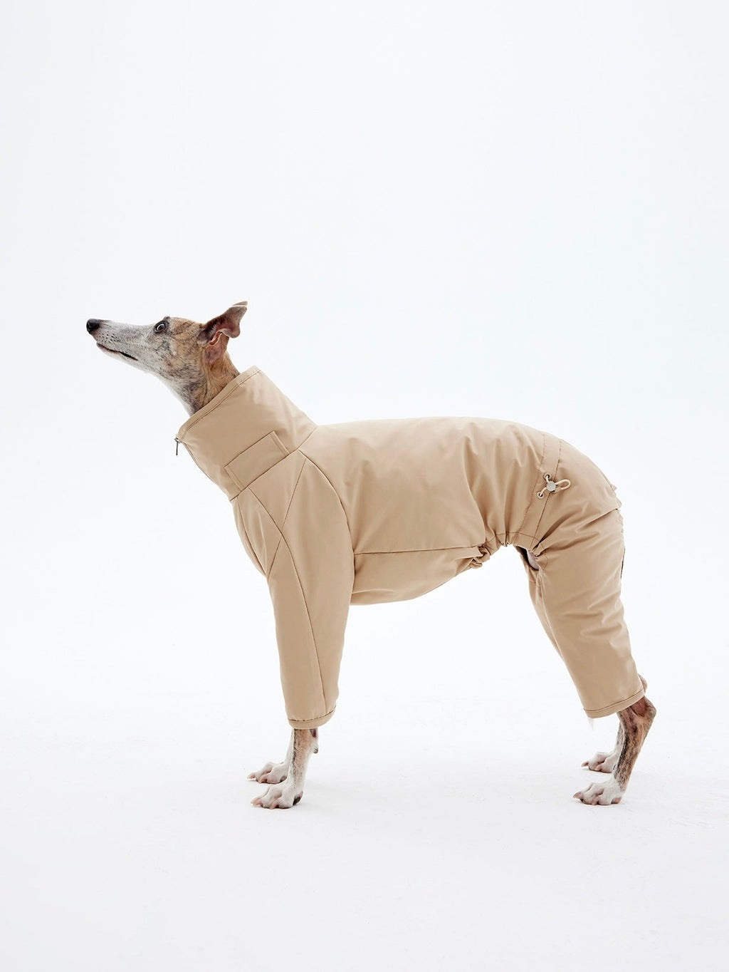 Dog Puffer Suit