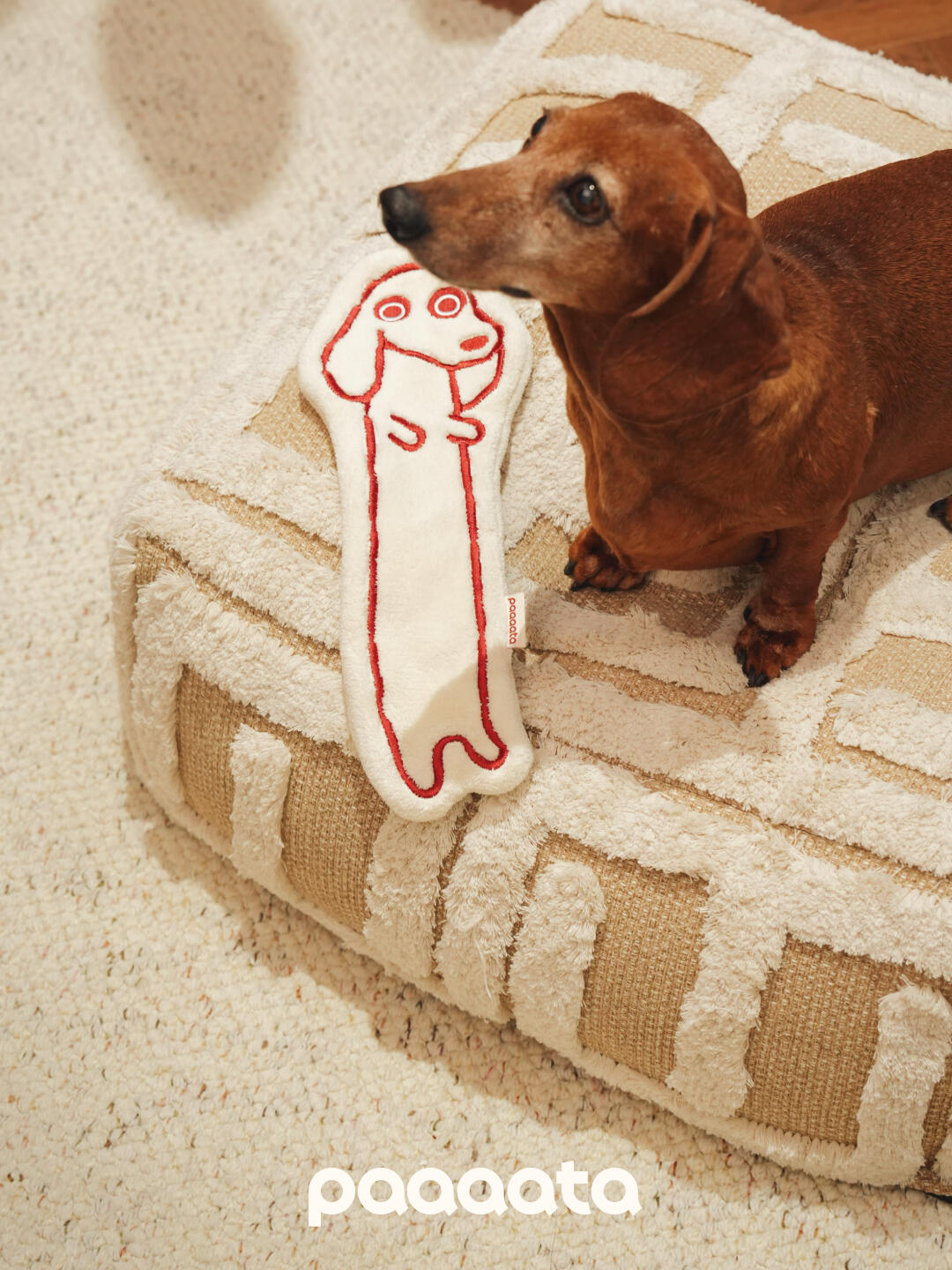 Coral Fleece Quick Dry Hand Towel