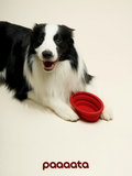 Collapsible Silicone Pet Bowl