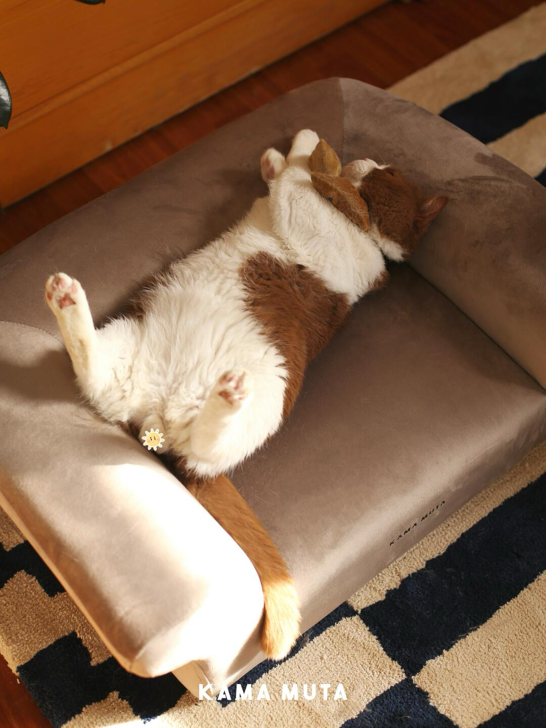 Luxury Orthopedic Pet Sofa Bed