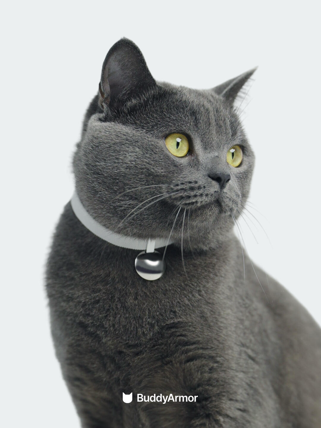 Anti-Choking Elastic Cat Collar