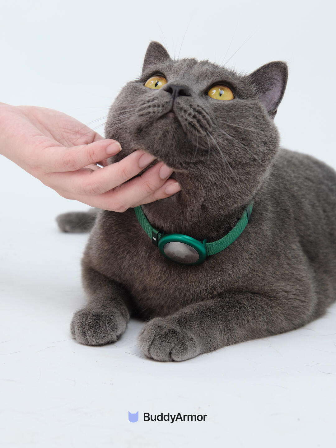 Anti-Choking Elastic Cat Collar