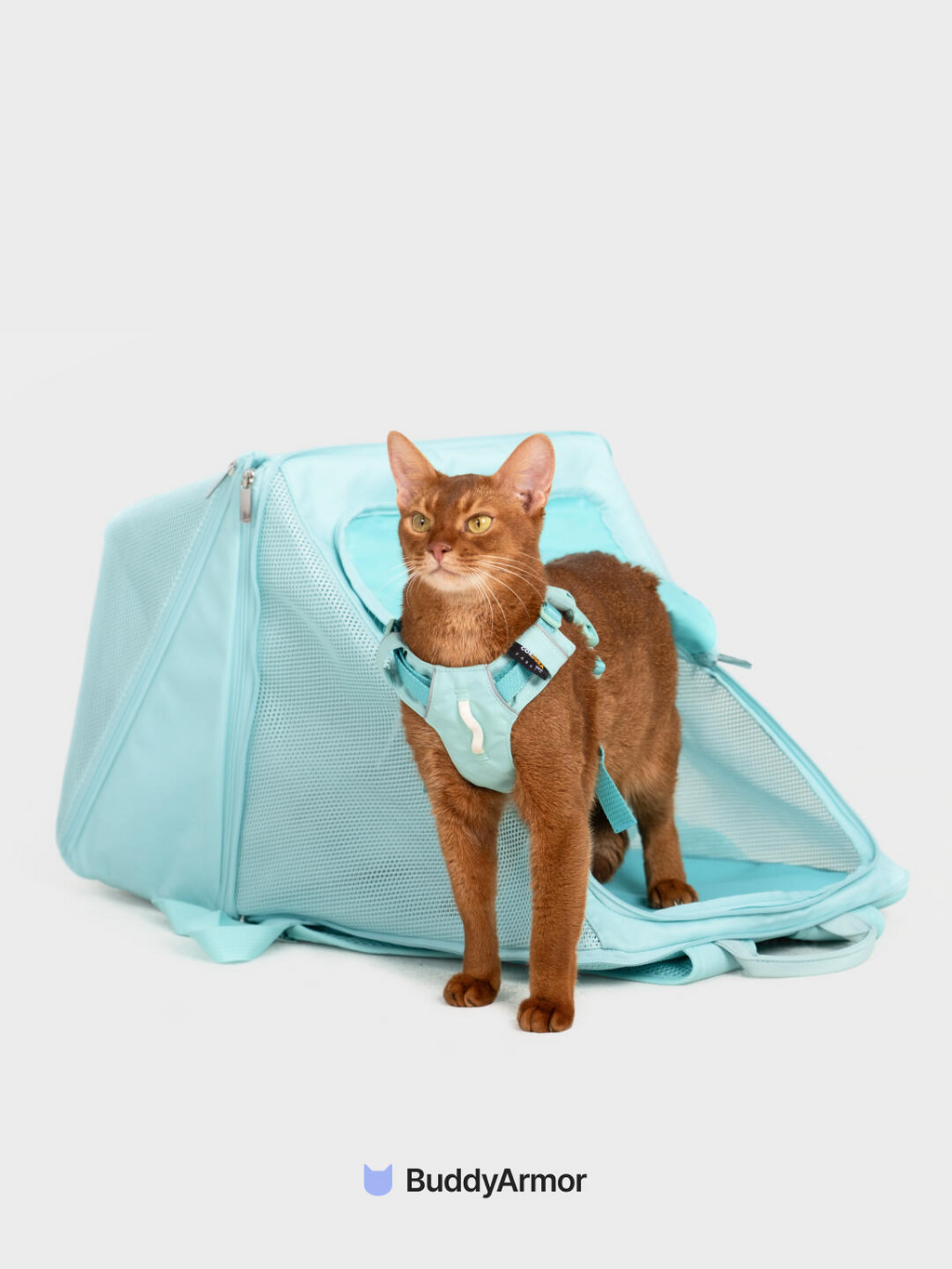 Splash-Resistant Cat Carrier Bag