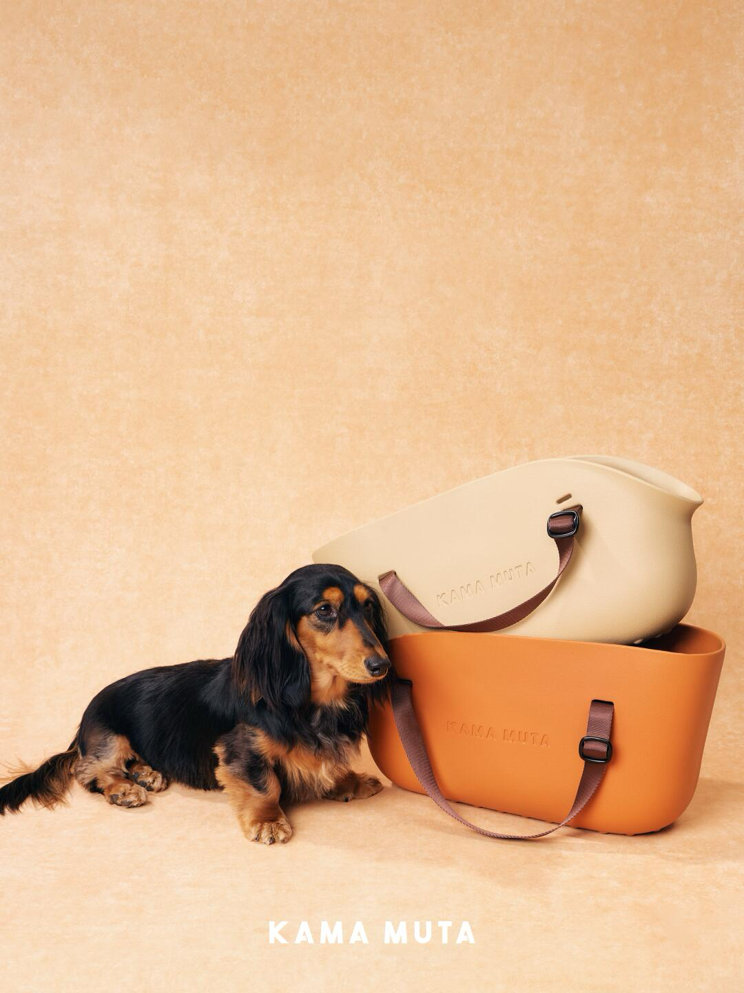 Pet Carrier Bag