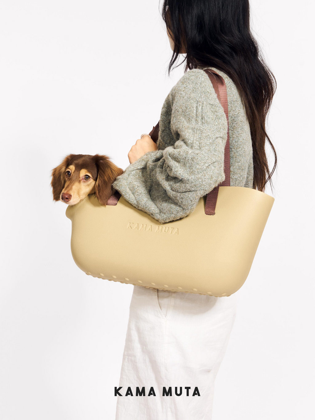 Pet Carrier Bag