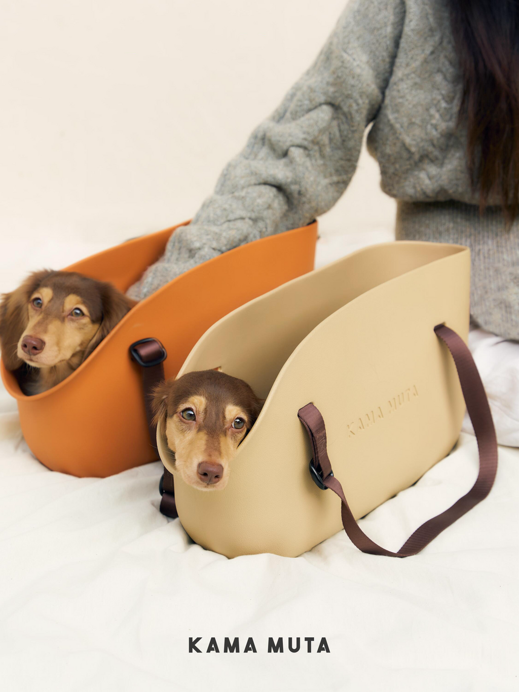 Pet Carrier Bag