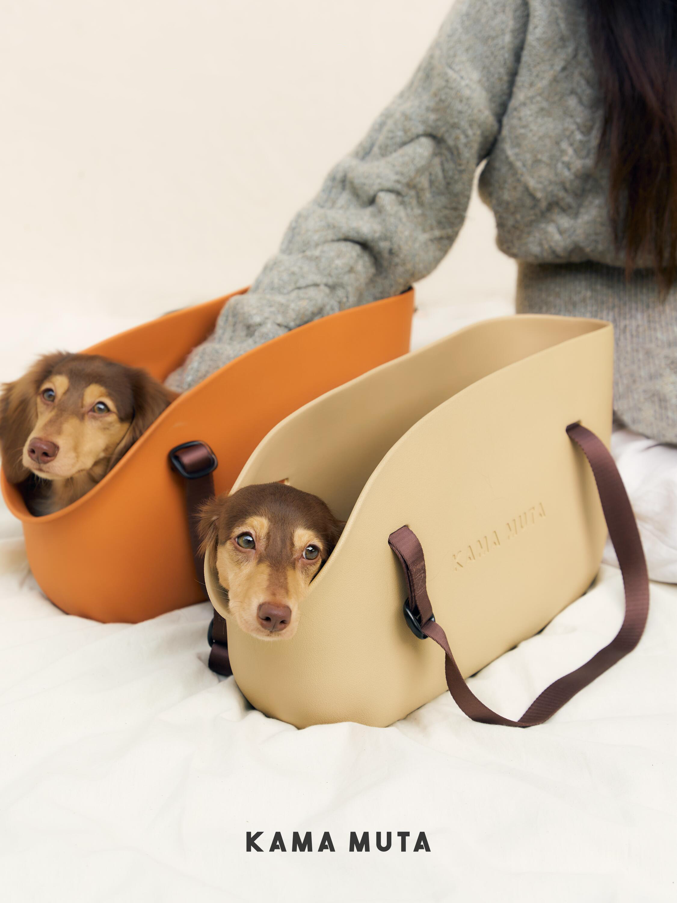 Pet Carrier Bag