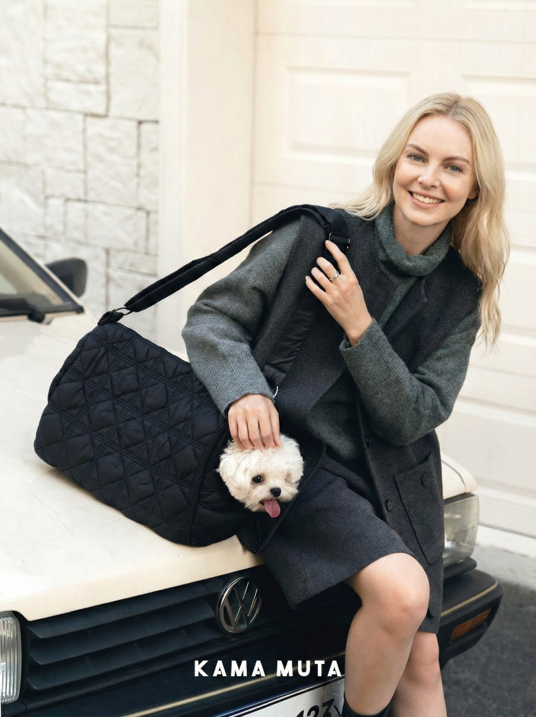 Pincone Enclosed Pet Carrier