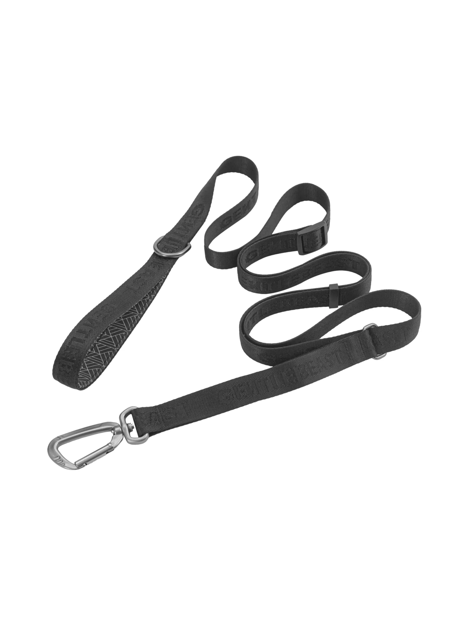 Dog Leash Black