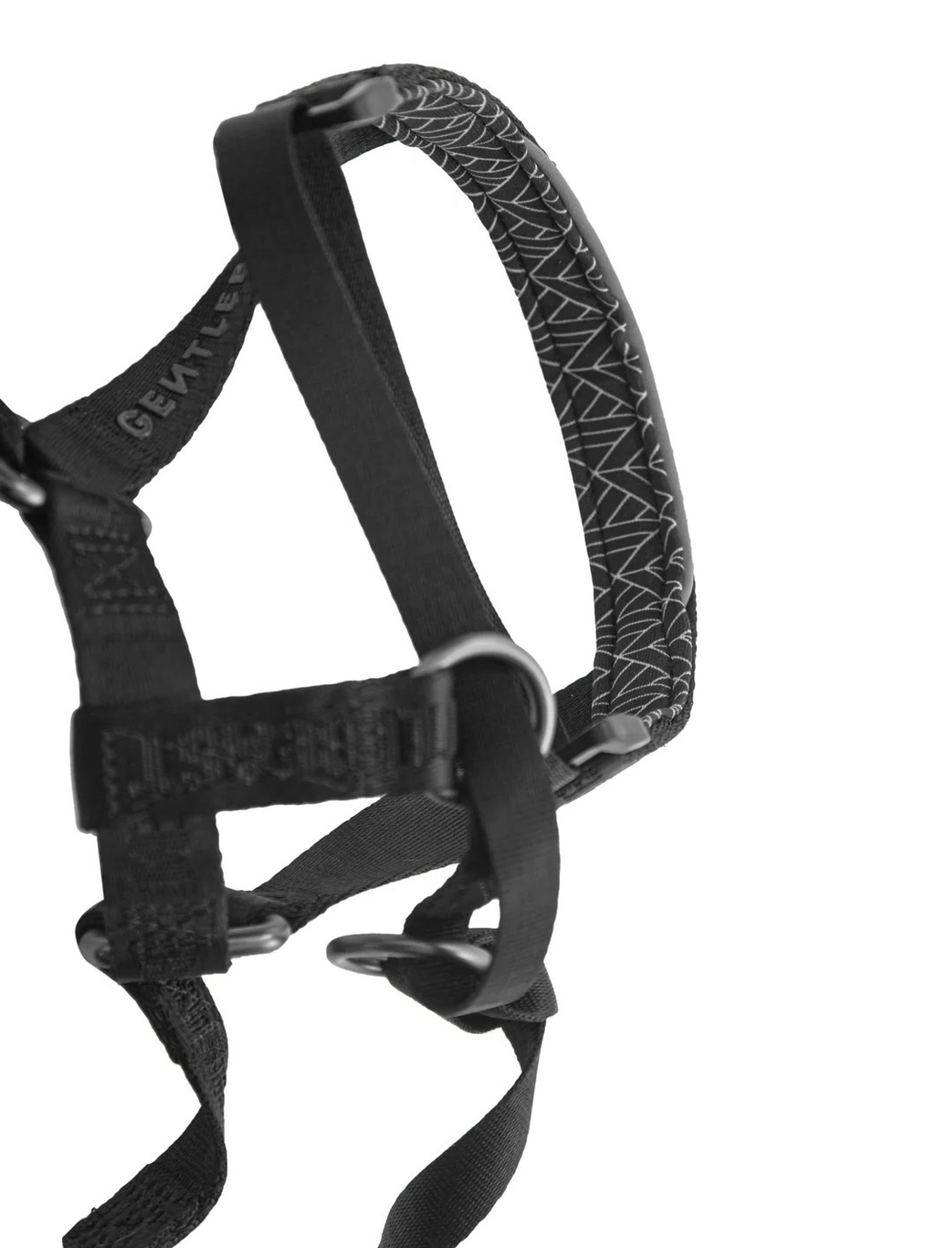 Dog Headcollar Black