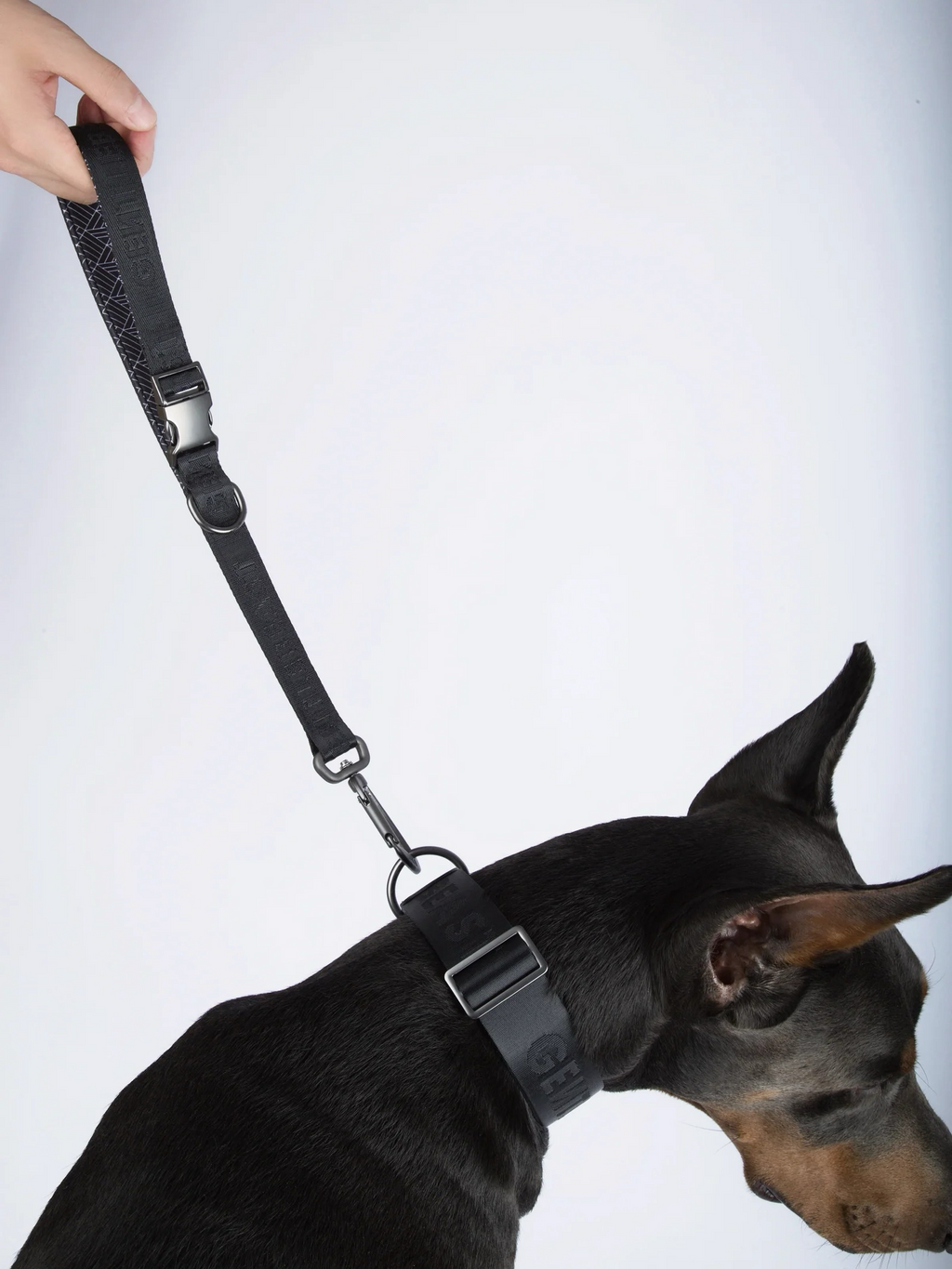 Dog Short Leash Black