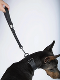 Dog Short Leash Black