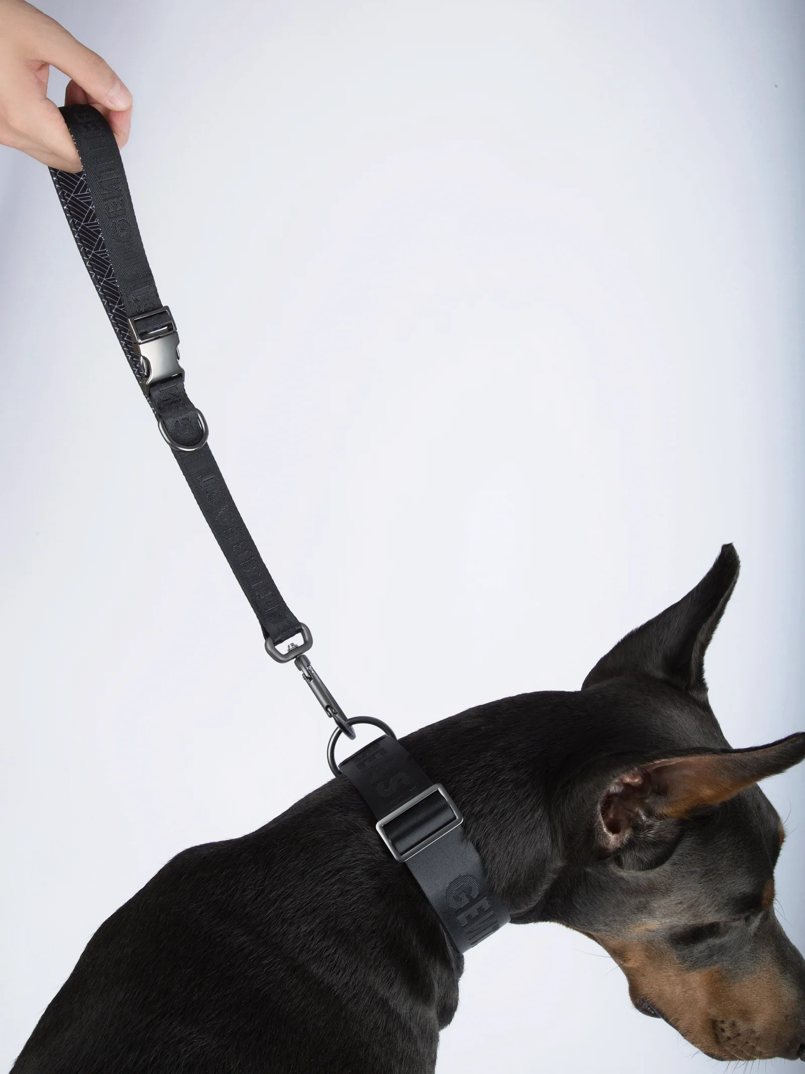 Dog Short Leash Black