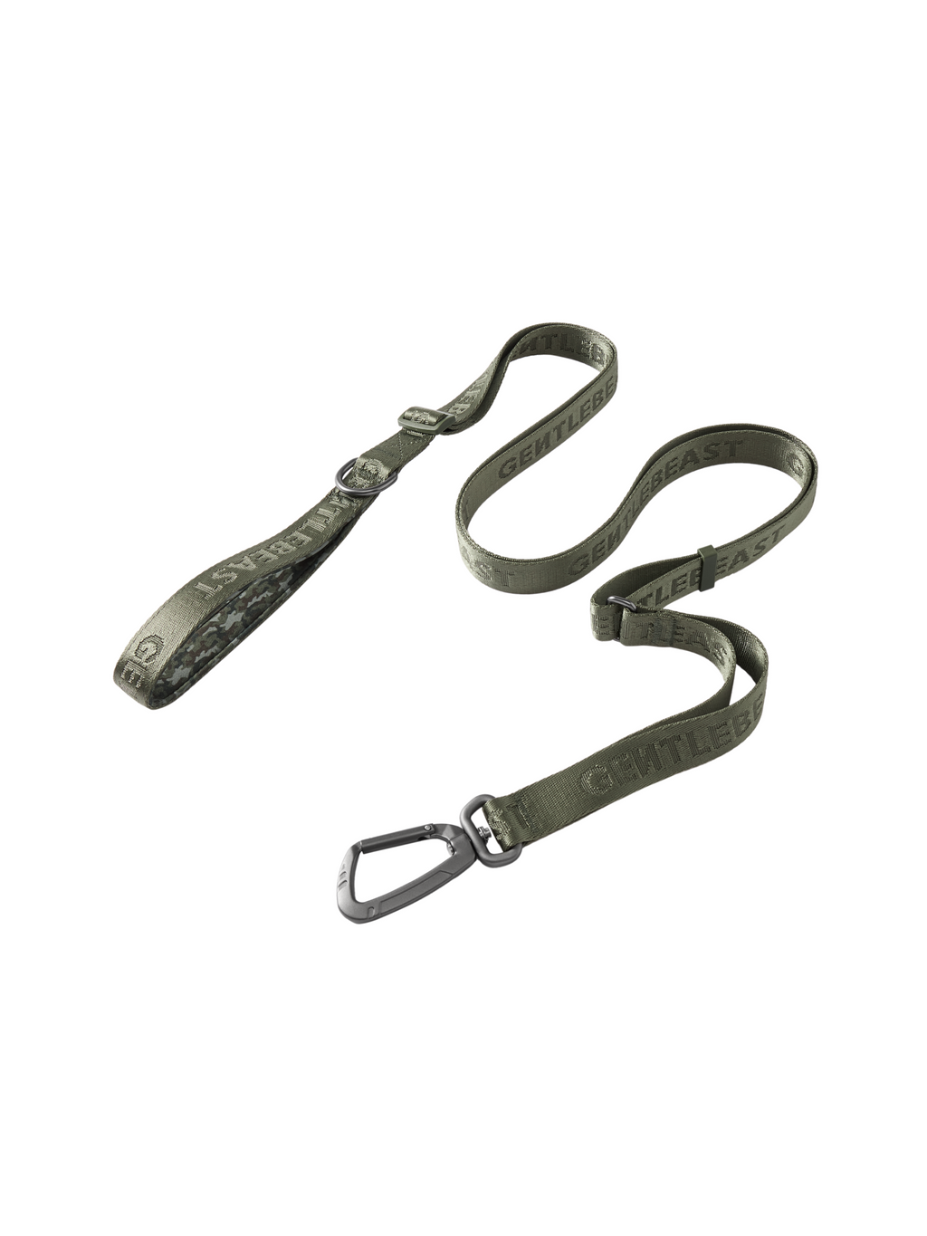 Dog Leash Green