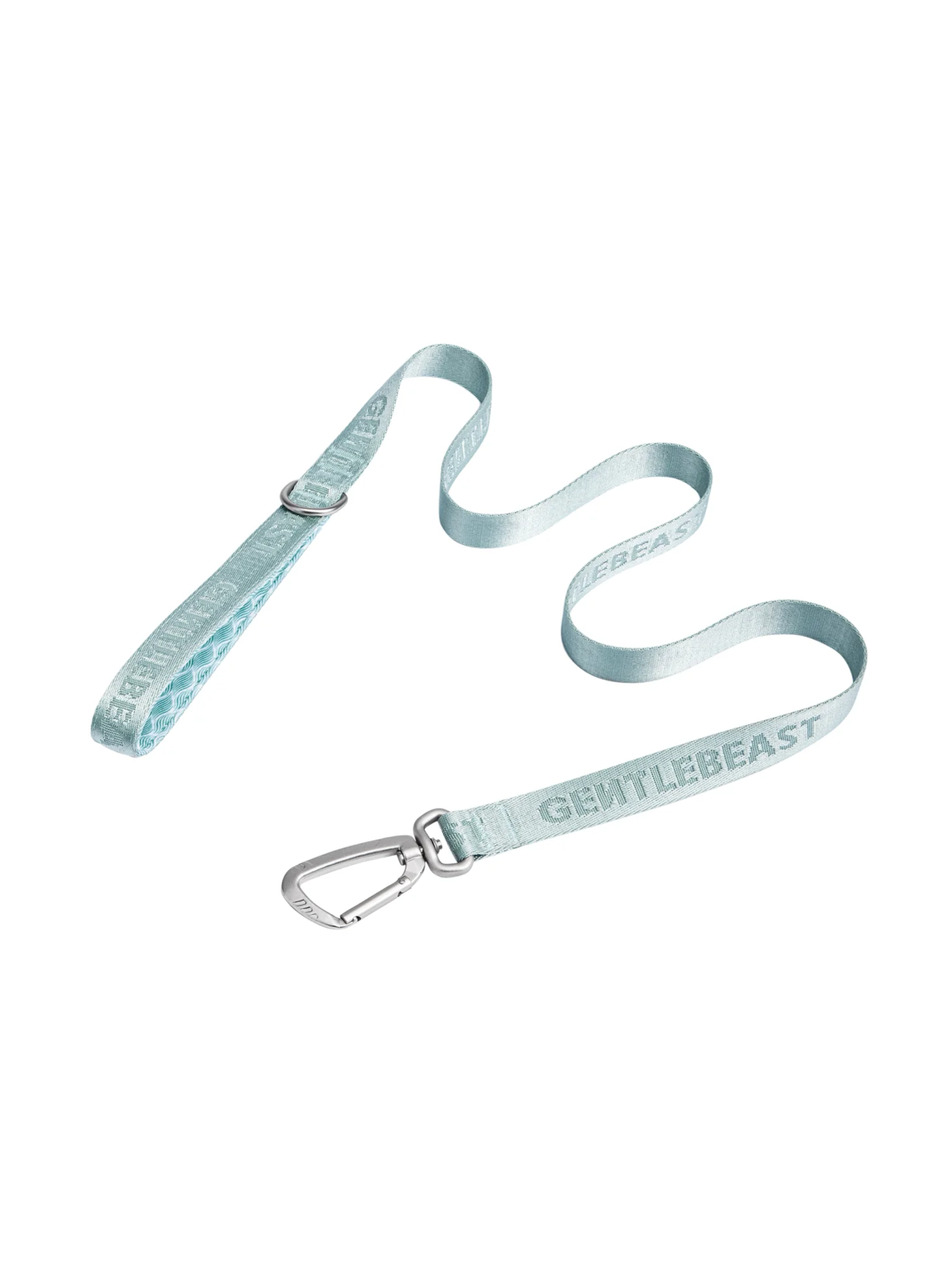 Dog Leash Mint Blue