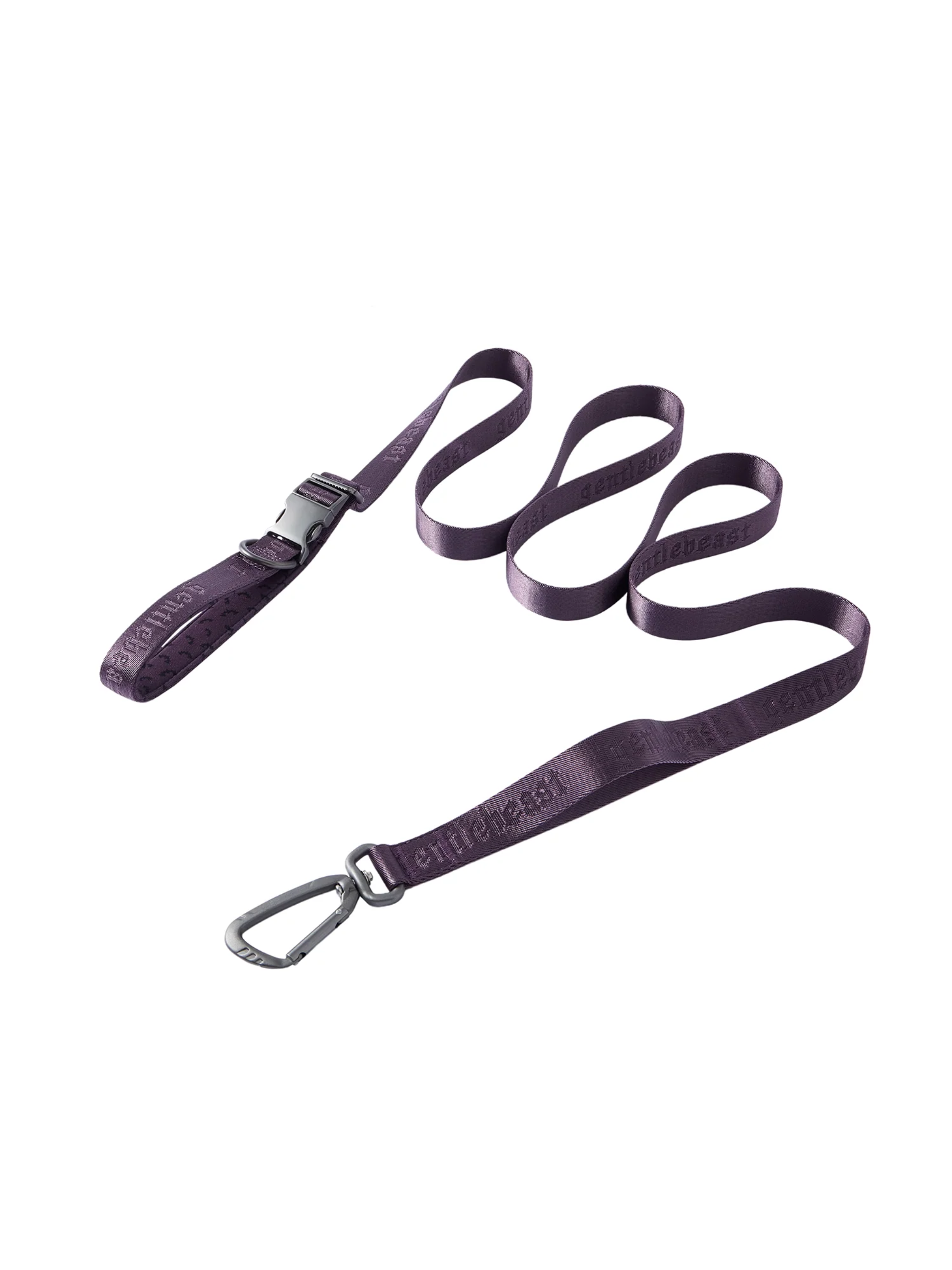Dog Leash Purple