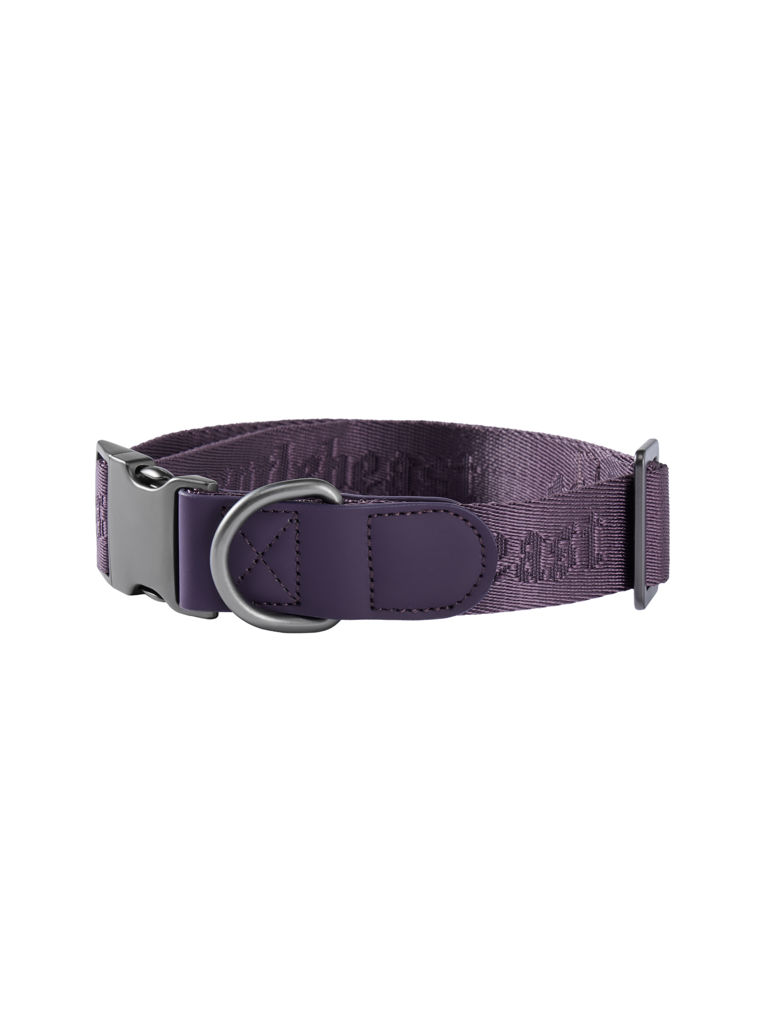 Dog Collar Purple