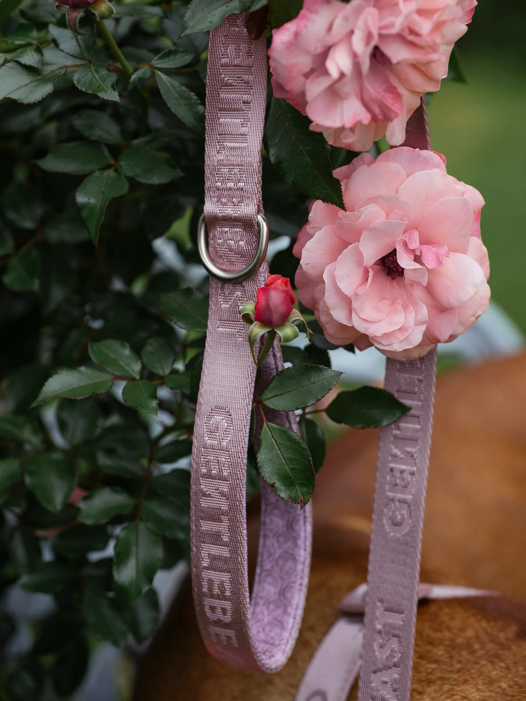 Dog Leash Pink