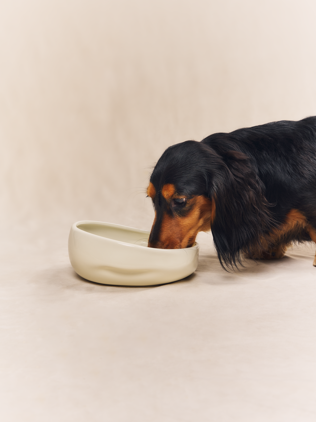 Ceramic Pet Bowl