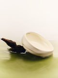 Ceramic Pet Bowl