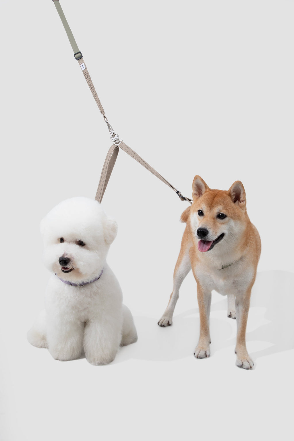 Shock-Absorbing Hands-Free Dog Leash with Double Extension