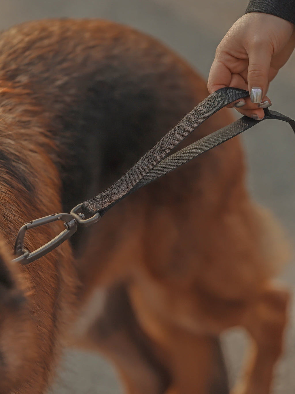 Dog Leash Green
