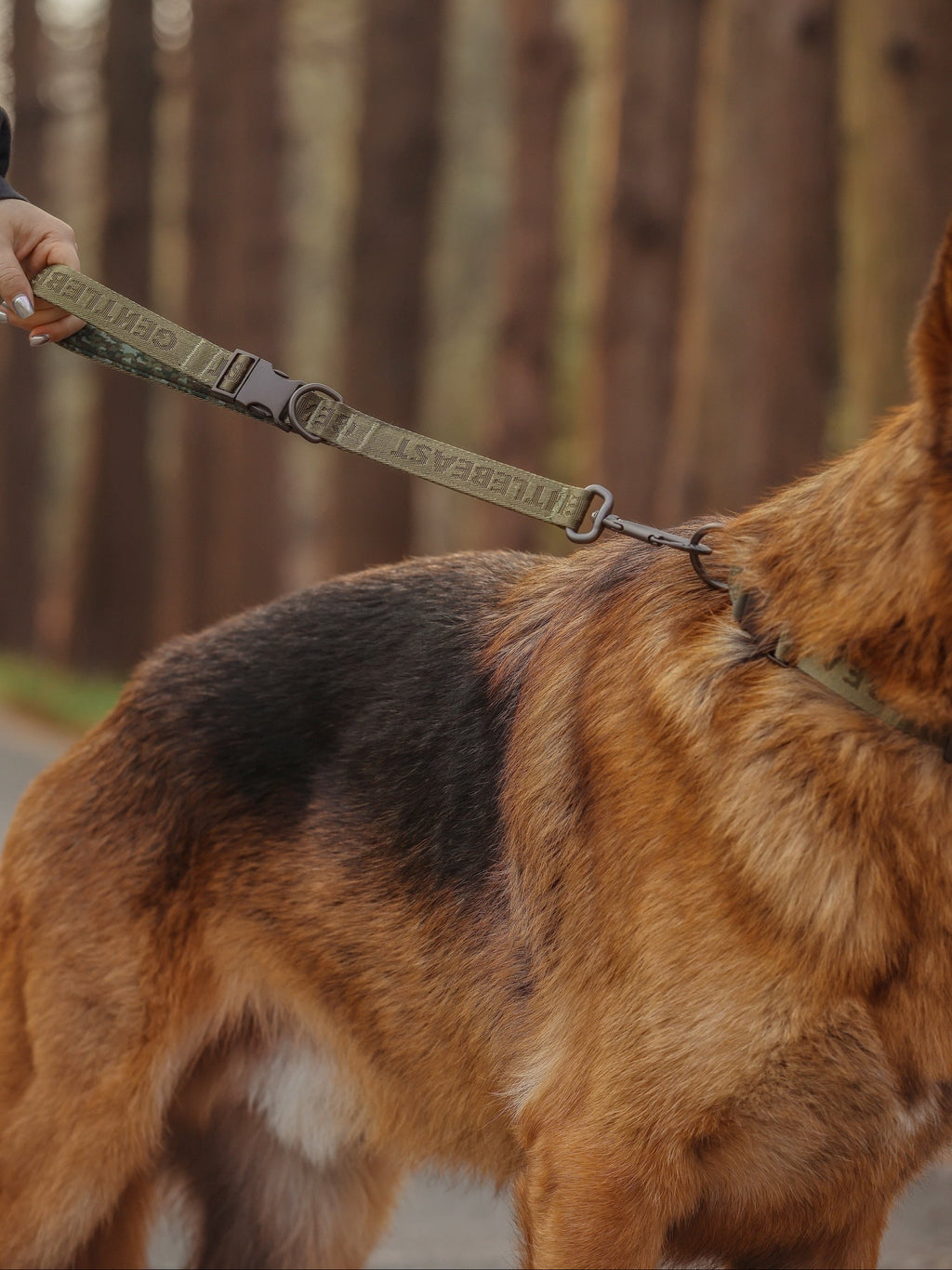 Dog Short Leash Green