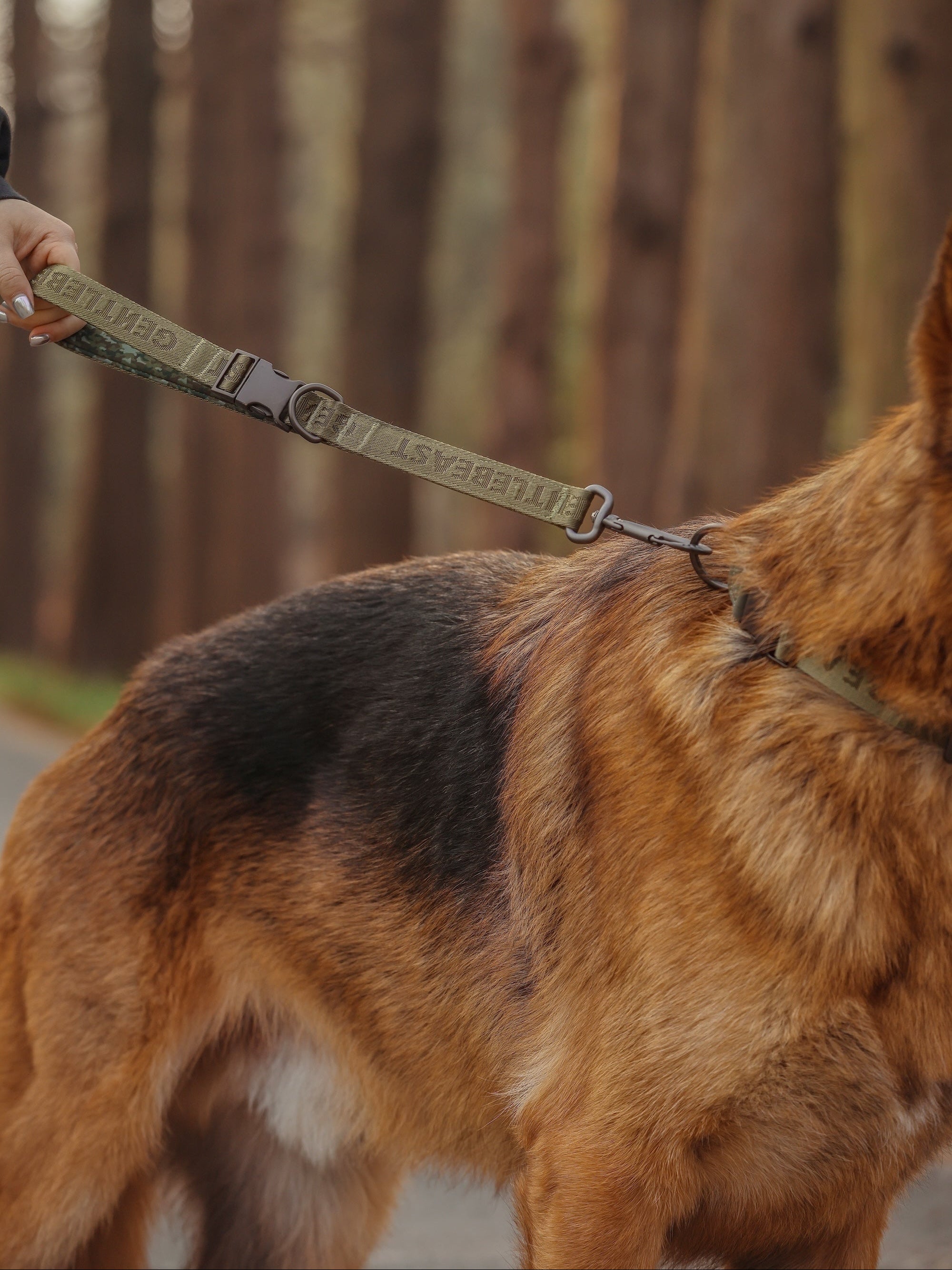 Dog Short Leash Green