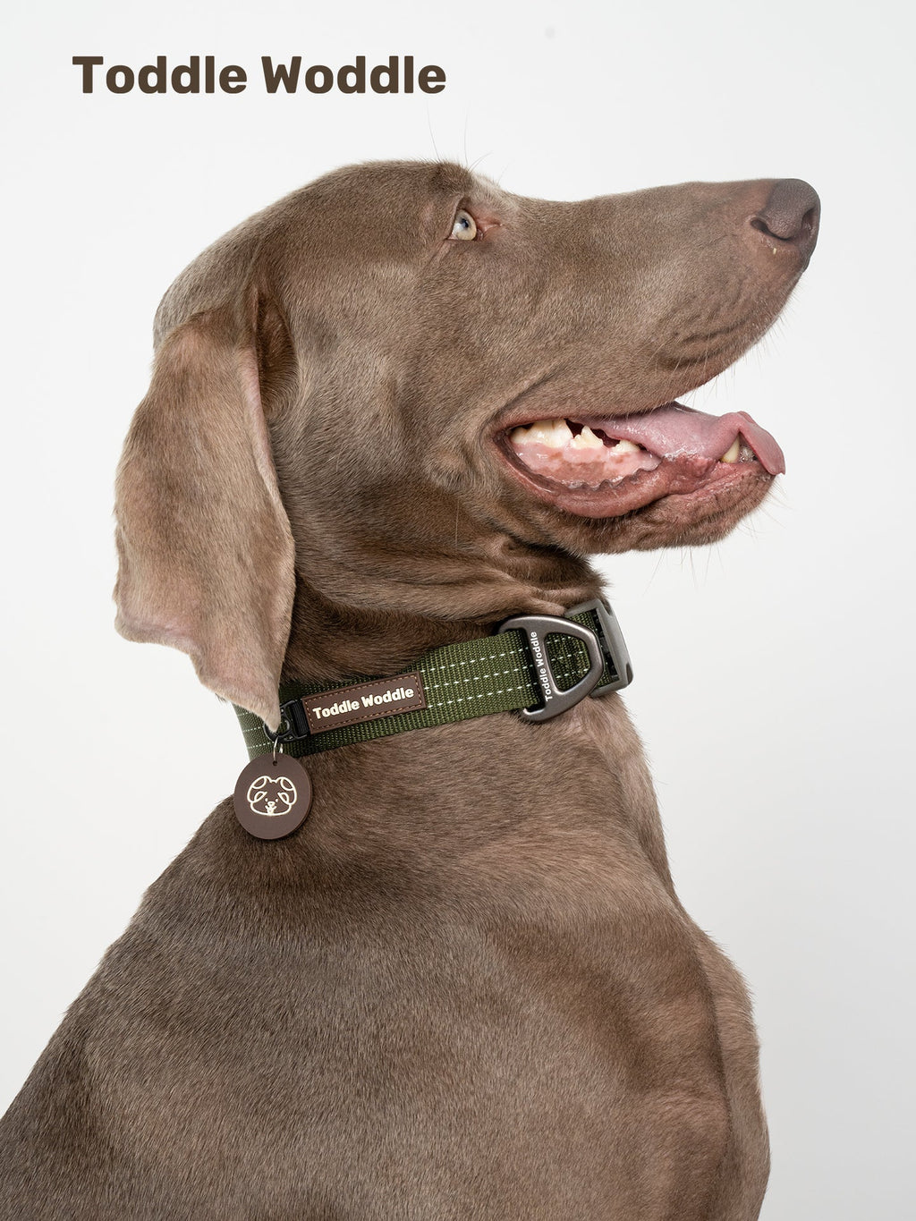 Woven Dog Collar