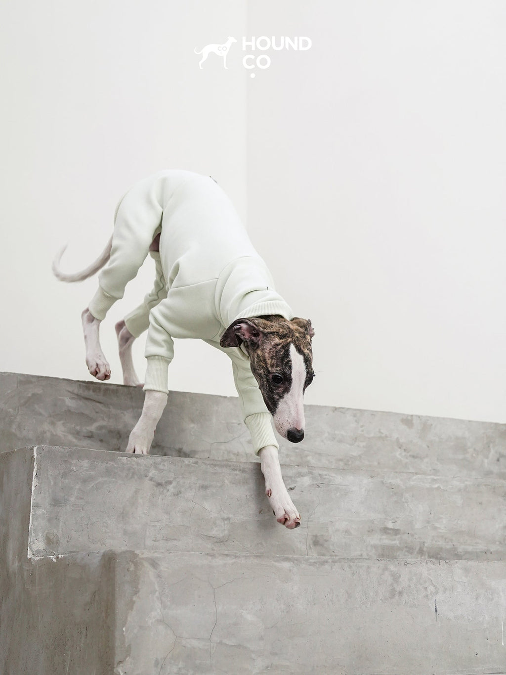 Fleece Sighthound Jumper