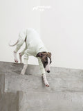 Fleece Sighthound Jumper