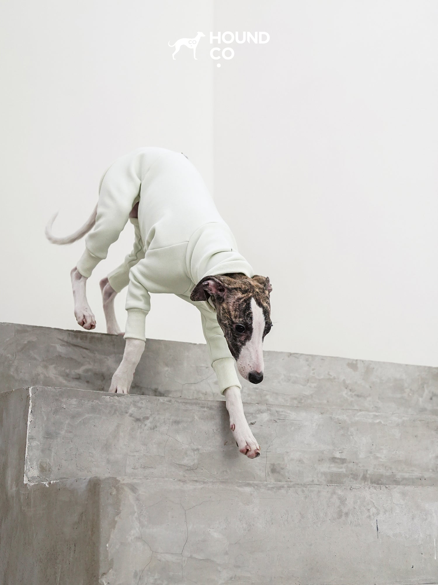 Fleece Sighthound Jumper