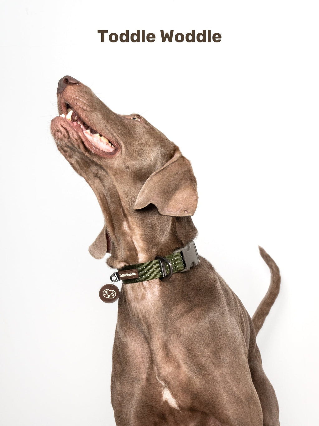 Woven Dog Collar