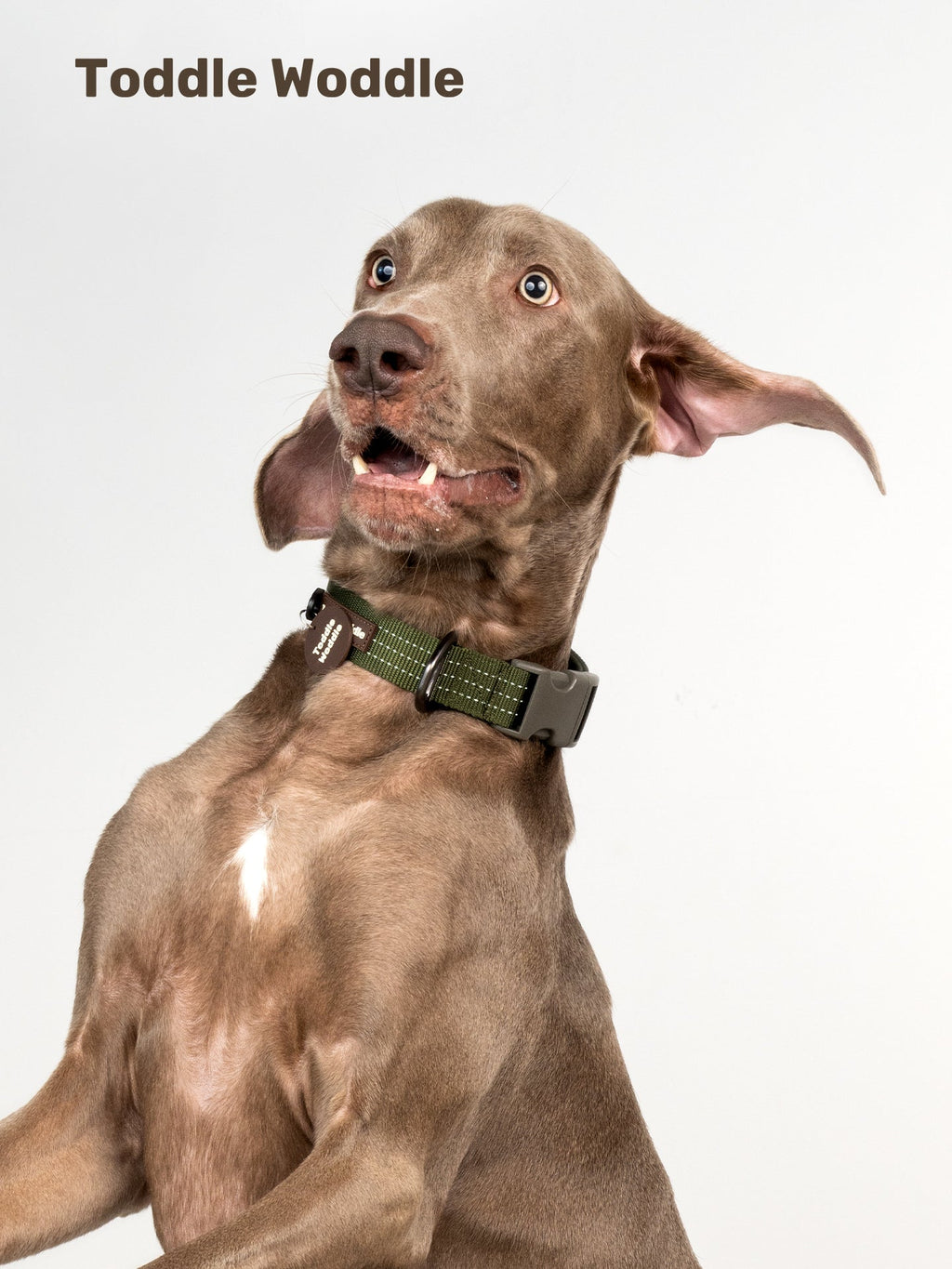 Woven Dog Collar