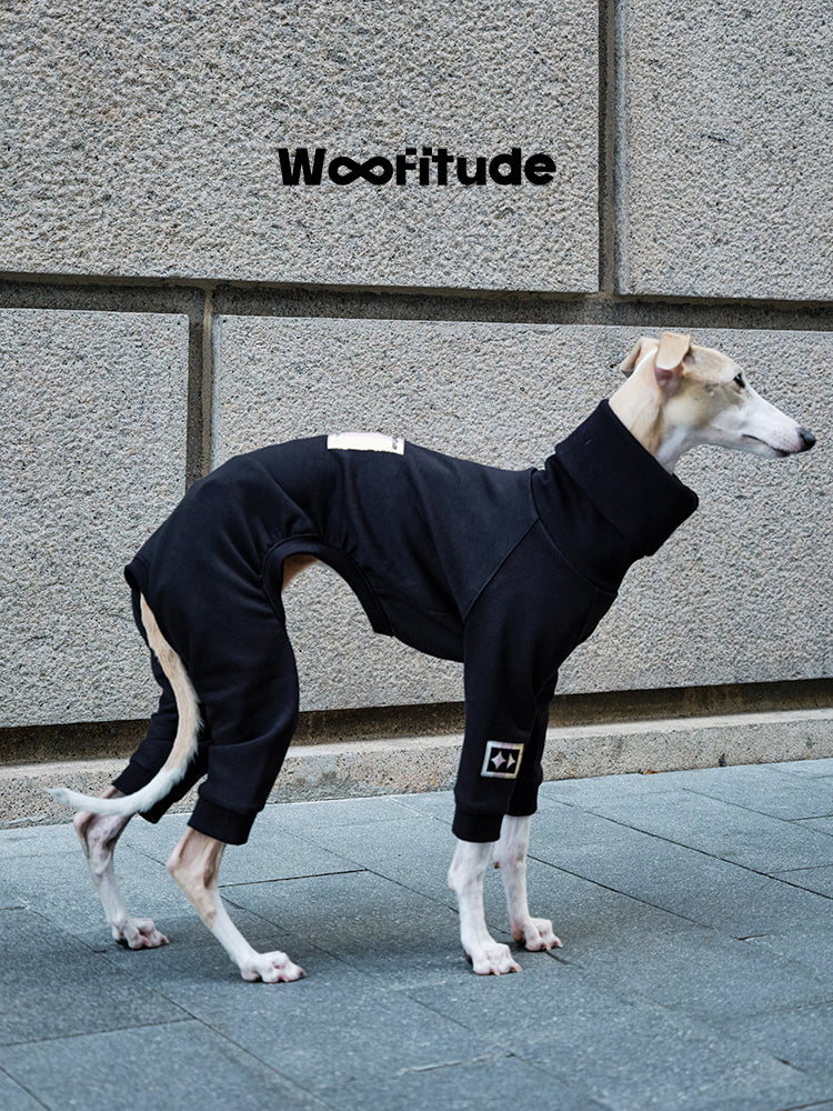 High Neck Dog Suit