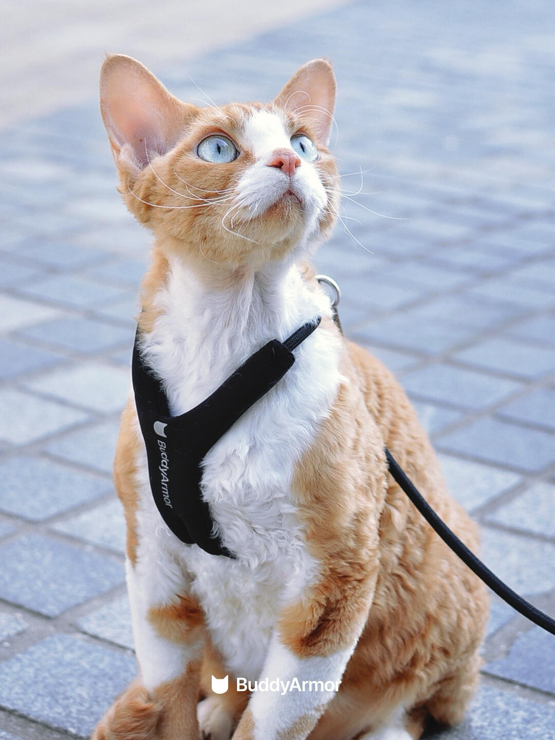 Y-Shape Escape-Proof Cat Harness