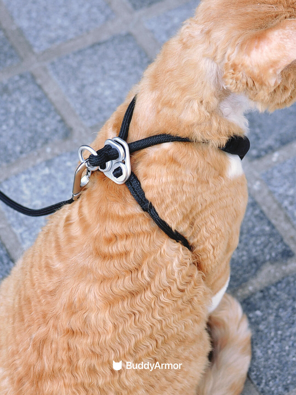 Y-Shape Escape-Proof Cat Harness